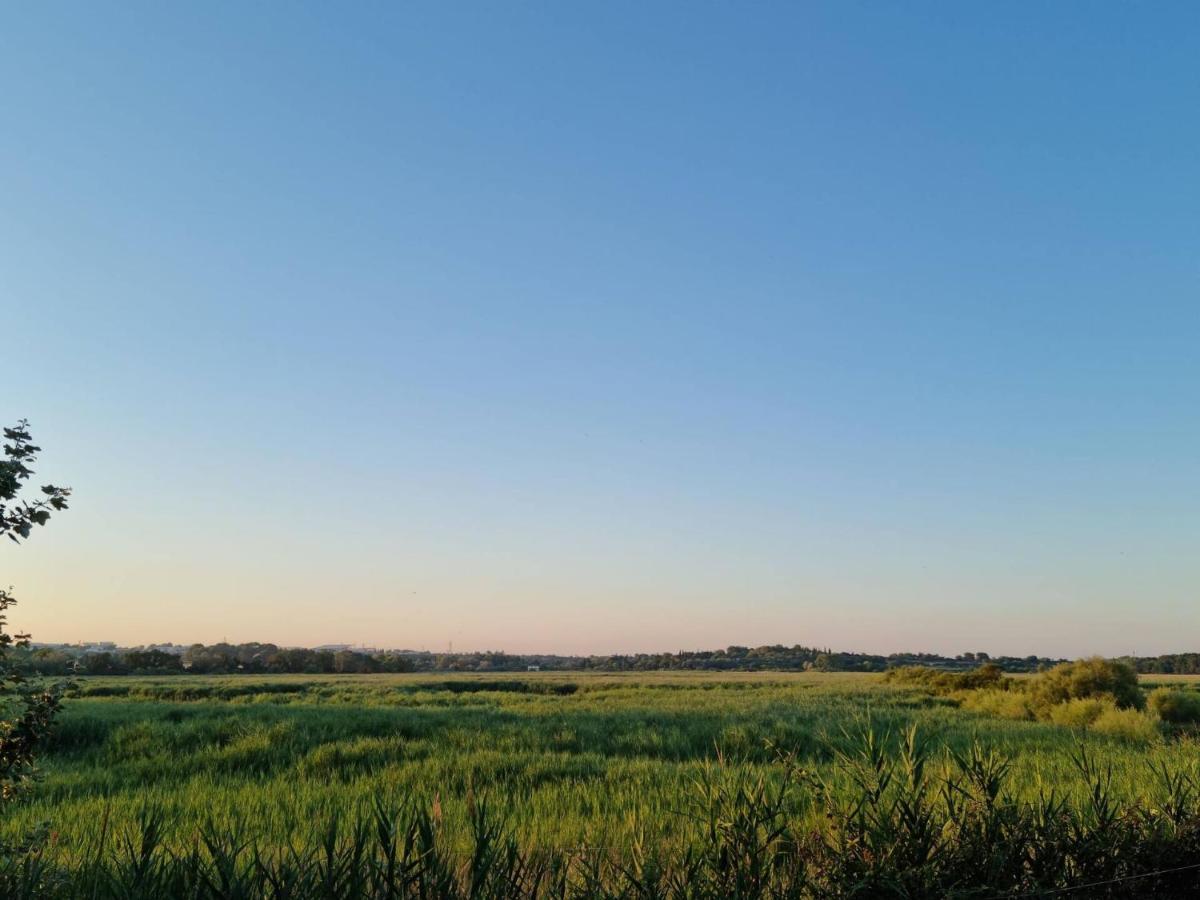 Gites De L'Estagnol Вильнев-ле-Магелон Экстерьер фото
